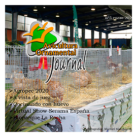 Revista descargable Avicultura Ornamental Journal. Enero 2021